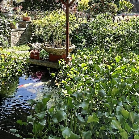 Villa Anjing نوسا دوا المظهر الخارجي الصورة
