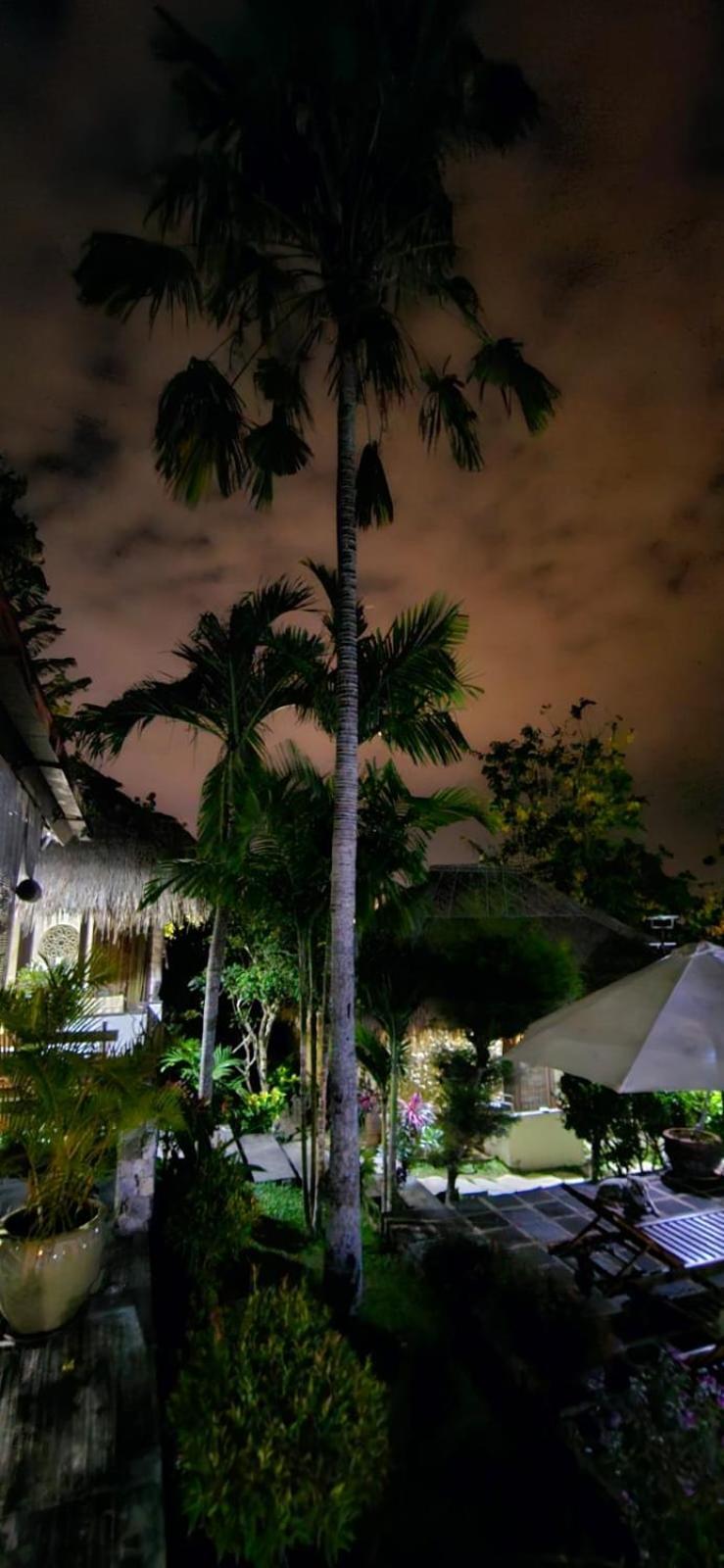 Villa Anjing نوسا دوا المظهر الخارجي الصورة